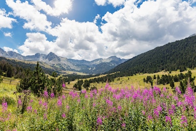 Gettyimages 521230220 Andorra Pyreneene Vandring