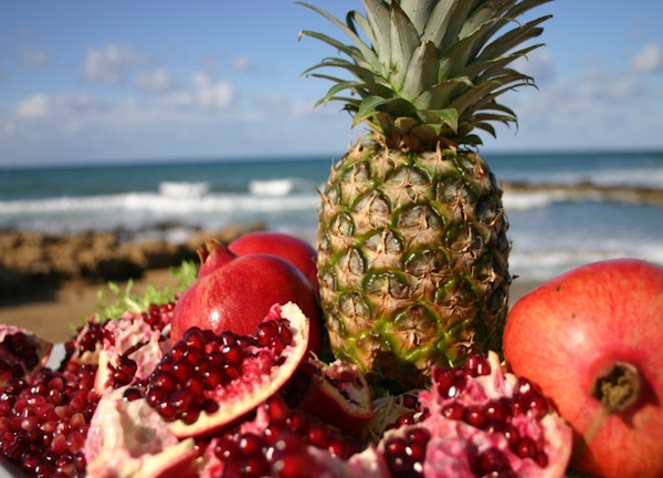 Kypros_mat_frukt_strand