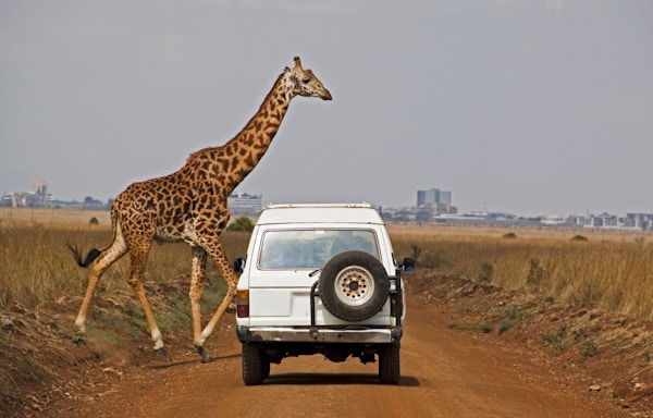 Gettyimages 108350405 Kenya Nairobi Nasjonalpark Safari Sjiraff