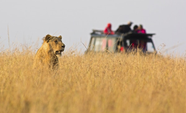 Istock 000026862387 Africa