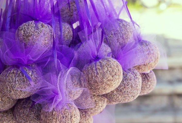 Gettyimages 544684278 Kroatia Hvar Lavendel