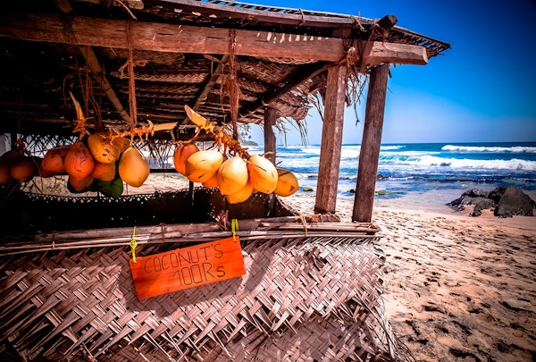 Sri Lanka Strand Kokosnot
